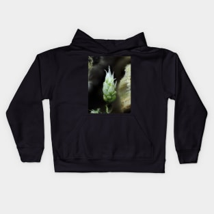 Moss under the microscope Kids Hoodie